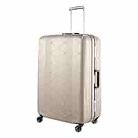 Amazon | [サンコー] スーツケース 超軽量 MGC2-69 93L 69cm 4.3
